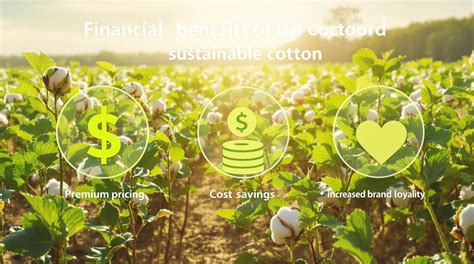 Why Cotton Is Better Than Polyester