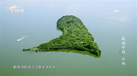 航拍贵州安顺8万余平方米植物汉字“龙字田”_手机凤凰网