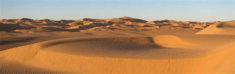 niger
