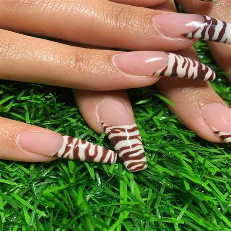15 Zebra Nail Designs For Channeling Your Wild Side