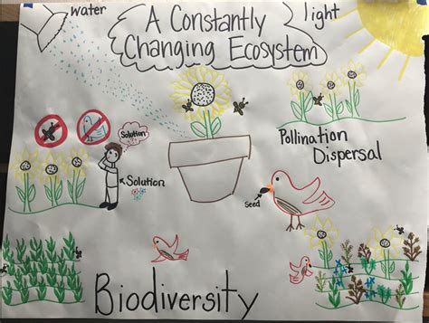 Life 的图像结果