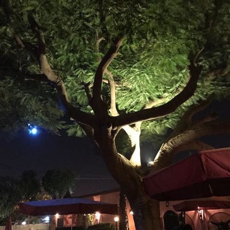 HOTEL TAMANA (Bamako) - Inn Reviews & Photos - Tripadvisor