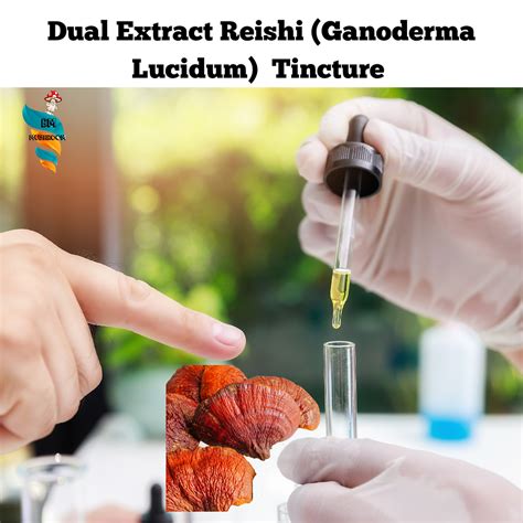 Reishi (Ganoderma Lucidum) Mushroom Extract Tincture 30ml (60 Servings ...