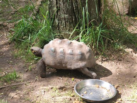 Bergen County Zoo, Paramus, NJ: Information, Tickets and Reviews