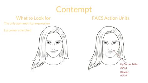 What are universal expressions? | Sophie Zadeh | Expert Nonverbal ...