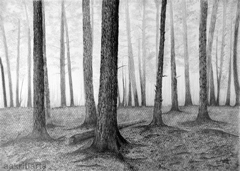 tutorial pencil sketch apk