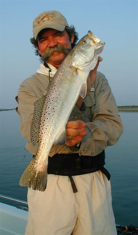 Bringing Baffin Back Initiative Vital to Texas Speckled Trout Mecca