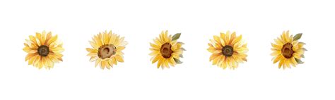 Répondez S’il Vous Plaît [RSVP] – The Marriage of Ebony & Matthew