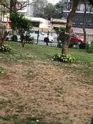 DLF City Plot Phase 4 in DLF Phase 4, Gurgaon: Price, Brochure, Floor ...