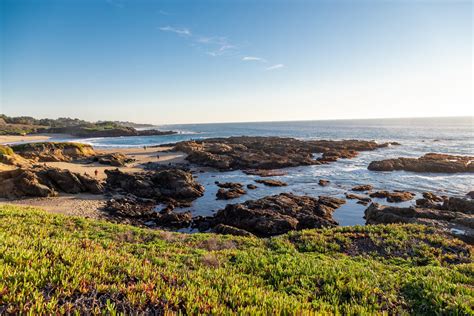 Guided Walk at Bean Hollow State Beach - ThatsMyPark