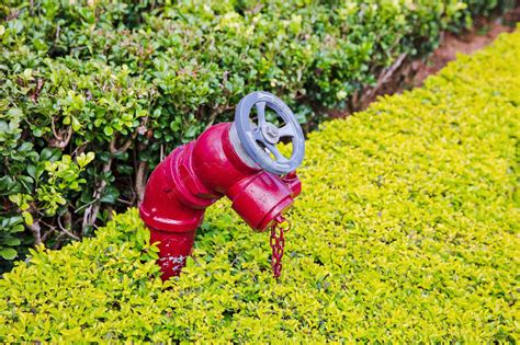 Premium Photo | Red spanish fire hydrant on garden