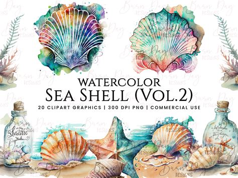 Shell Watercolor
