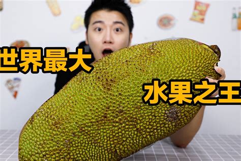 100元一个12斤的菠萝蜜，剥出果肉后惊呆，不愧是世界最大的水果！_凤凰网视频_凤凰网