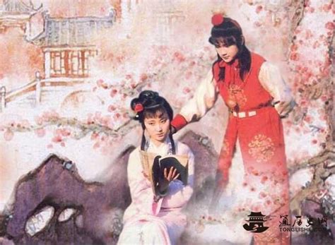 《红楼梦》中诗词曲赋对中国文学史的影响-小说_通历史网