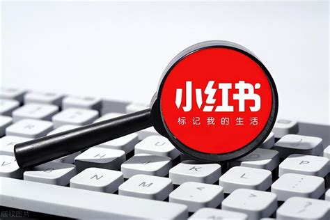 SVG交互｜点击关键词，解锁2023年金昌市10件民生实事_腾讯新闻