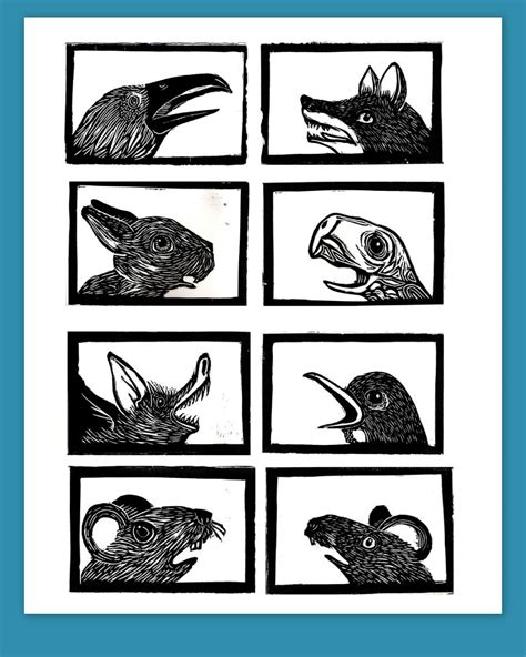 Image result for Python's vs Animals