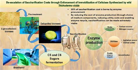 De-Escalation of Saccharification Costs through Enforcement of ...