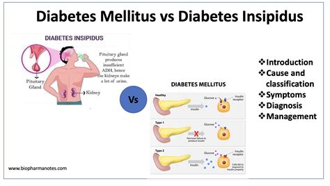 Diabetes Insipidus Vs Diabetes Mellitus