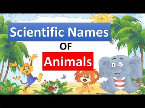 Scientific Names of Most Common Animals Video Lecture - General Test ...