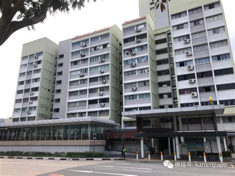 新加坡租房市场连涨28个月，还能住人吗？公寓租金贵了150%，组屋涨幅也不甘落后