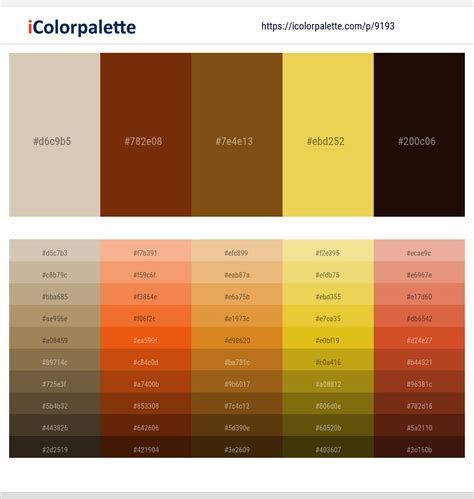 1+ Raw Umber And Confetti Color Palettes & Gradient Ideas | iColorPalette