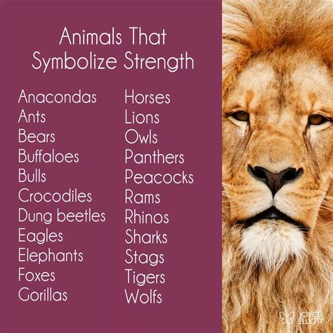 What Animal Represents Strength