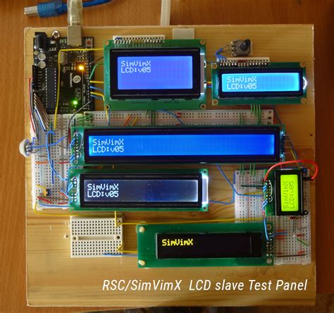 Simvim Tutorial 的图像结果