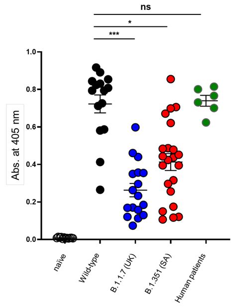 Immunodominant Linear B-Cell Epitopes of SARS-CoV-2 Spike, Identified ...
