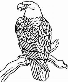ausmalbilder zum ausdrucken adler wellcome to image archive ausmalbilder adler ausmalbilder zum ausdrucken adler wellcome to image archive ausmalbilder adler