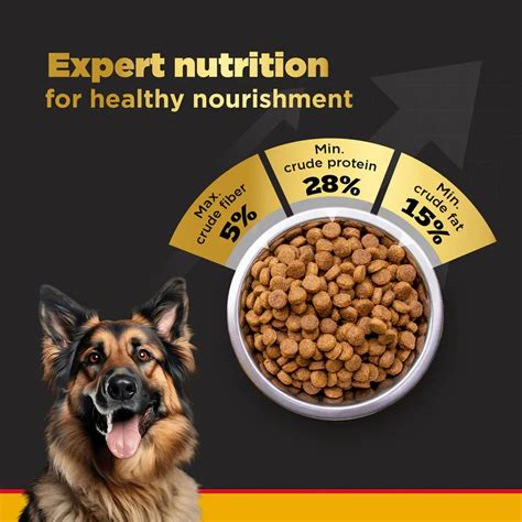 Buy Pedigree Pro Expert Nutrition Active Adult Dry Dog Food | Zigly