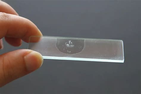 Image result for Microscope Slides Function