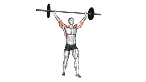 Barbell Standing Wide Military Press: Video Guide & Tips