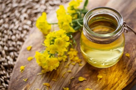 Rapeseed oil - AAC