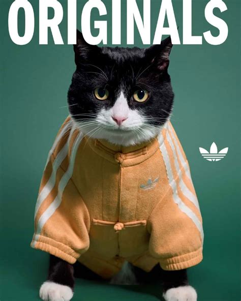 adidas Pet Collection Chinese New Year | SneakerNews.com