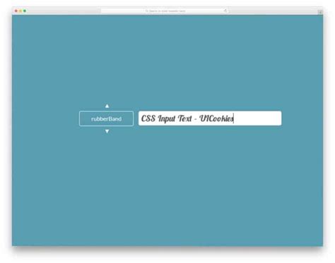 Image result for Input CSS Effect