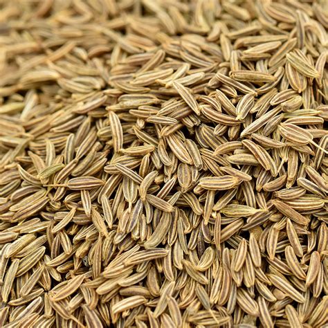 Caraway Seeds Indian Name