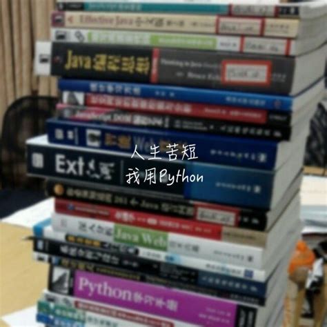 Python in Python Life 的图像结果