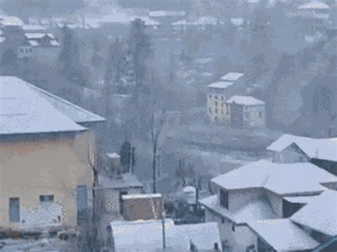 Avalanche in Uttarakhand's Badrinath after glacier burst; Gujarat’s ...