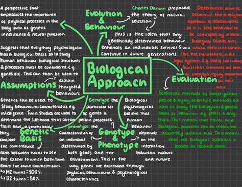 Aqq psychology a level the humanistic approach mind map everything you ...