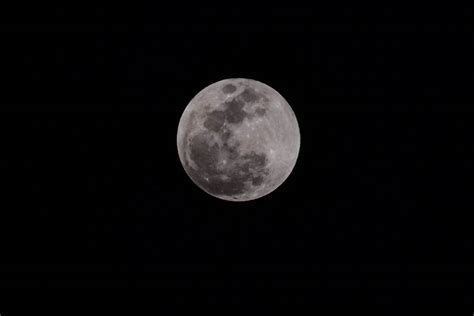 4月8日将出现今年第二次超级月亮|超级月亮_新浪科技_新浪网