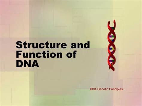 Image result for Gene Decoding