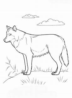 kostenlose malvorlagen wolf wolf bilder zum ausmalen und ausdrucken kostenlose malvorlagen wolf wolf bilder zum ausmalen und ausdrucken