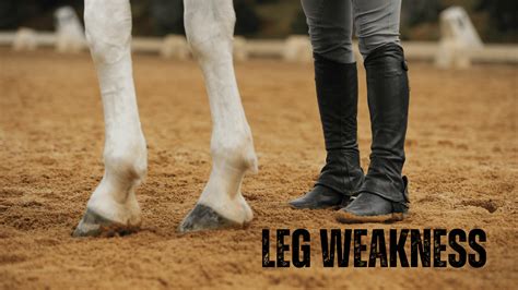 What Deficiency Causes Weakness in Legs? Understanding The Role of Nutritional Deficiencies ...