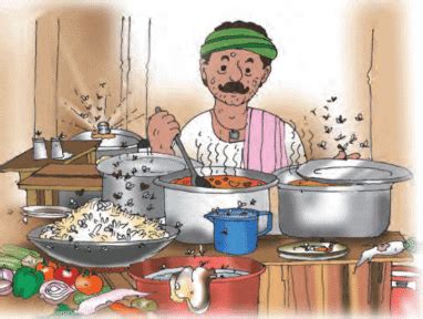 Food Important Notes - Class 5 Science - Fully Solved Notes For Students