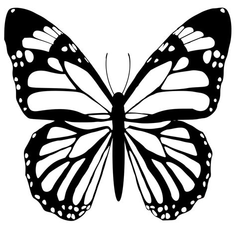 Butterfly Images Black And White