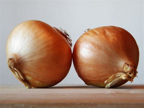 Free Images : food, produce, vegetable, garden, vegetables, hazelnut, chestnut, flowering plant ...
