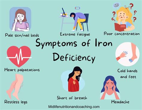 Do Women Over 50 Need Iron? What You Need to Know. - Midlife Nutrition and Coaching