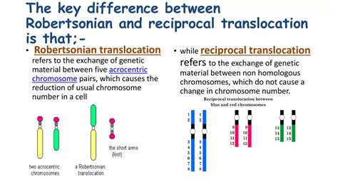 Chromosomal translocations effects gene expressions | PPTX