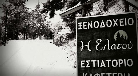 ELATOU (Ano Chora) - Hotel Reviews, Photos, Rate Comparison - Tripadvisor