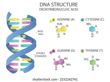 Image result for DNA Microarray Kit